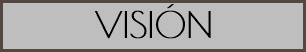 VISIÓN